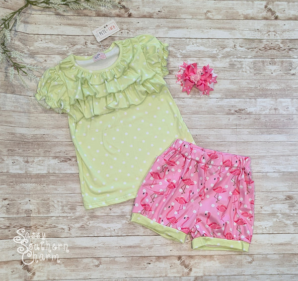 Fancy Flamingo Shorts Set -6/12M, 5