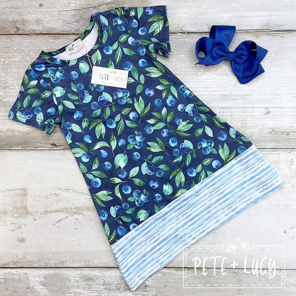 Blueberry Farm Dress -6/6x